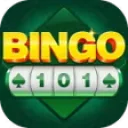 Bingo 101